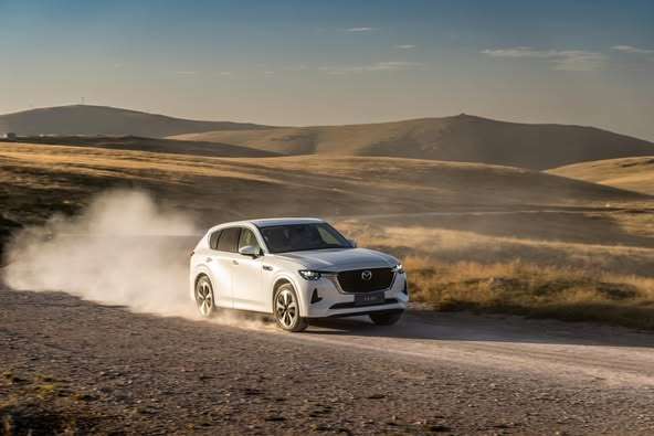 523030198_766970269002716_1853686353988209416_n